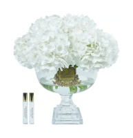 Фото Диффузор PROVENCE HYDRANGEAS LARGE WHITE COTE NOIRE  PHB21L