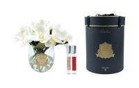 Фото Диффузор MAGNOLIAS WHITE & GOLD COTE NOIRE  RMG01