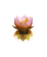 Фото Ваза DAUM JARDIN DE LOTUS 05866