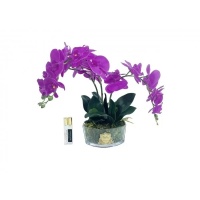 Фото Диффузор FUSHIA ORCHIDS COTE NOIRE  OOV09