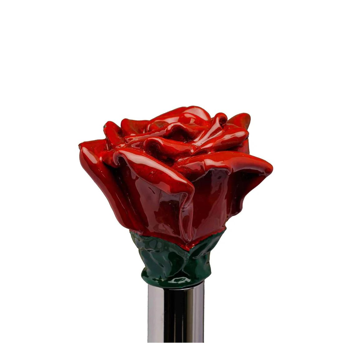 Фото Рожок для обуви WALKING STICKS  CDP22R